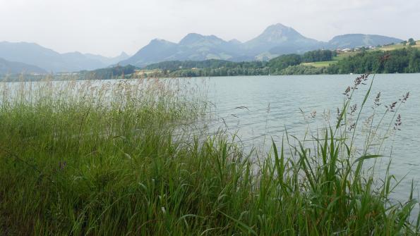 Mit dem Kayak auf dem Greyerzersee