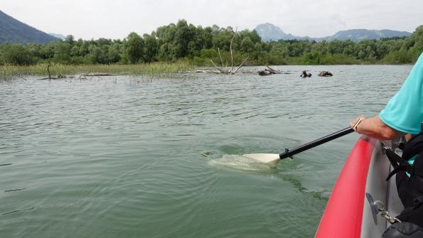 Mit dem Kayak auf dem Greyerzersee