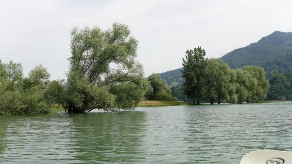 Mit dem Kayak auf dem Greyerzersee