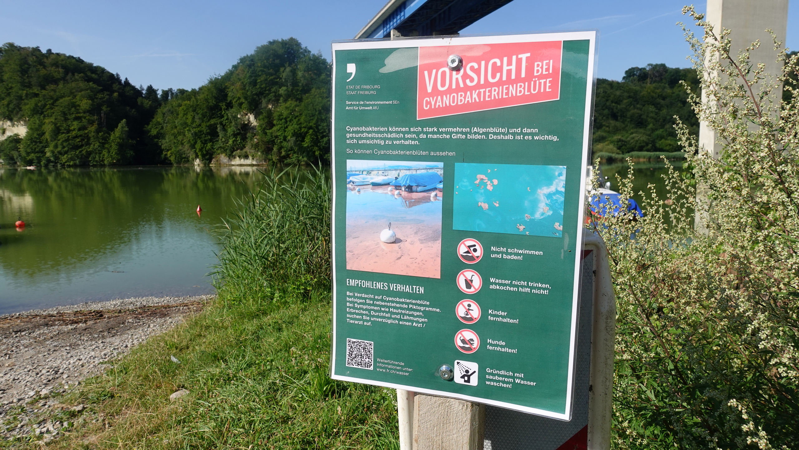 Mit dem Kayak auf dem Schiffenensee 26.7.2024